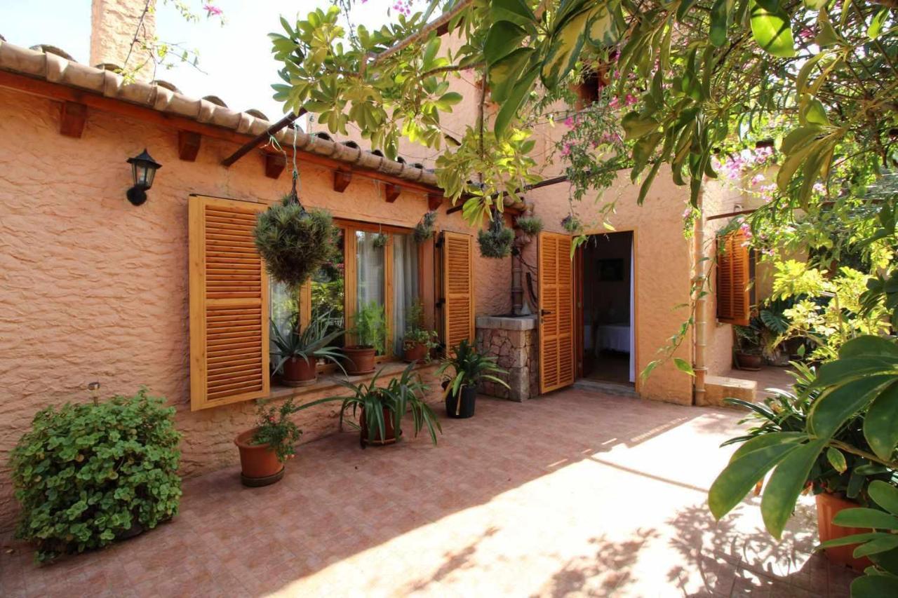 Feriehus Gato Den Vives Casa 4 Con Piscina