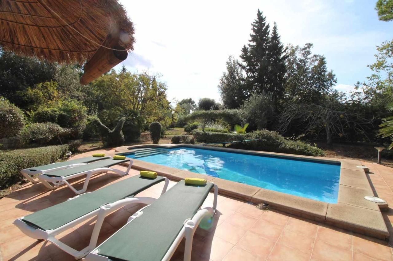Feriehus Gato Den Vives Casa 4 Con Piscina *