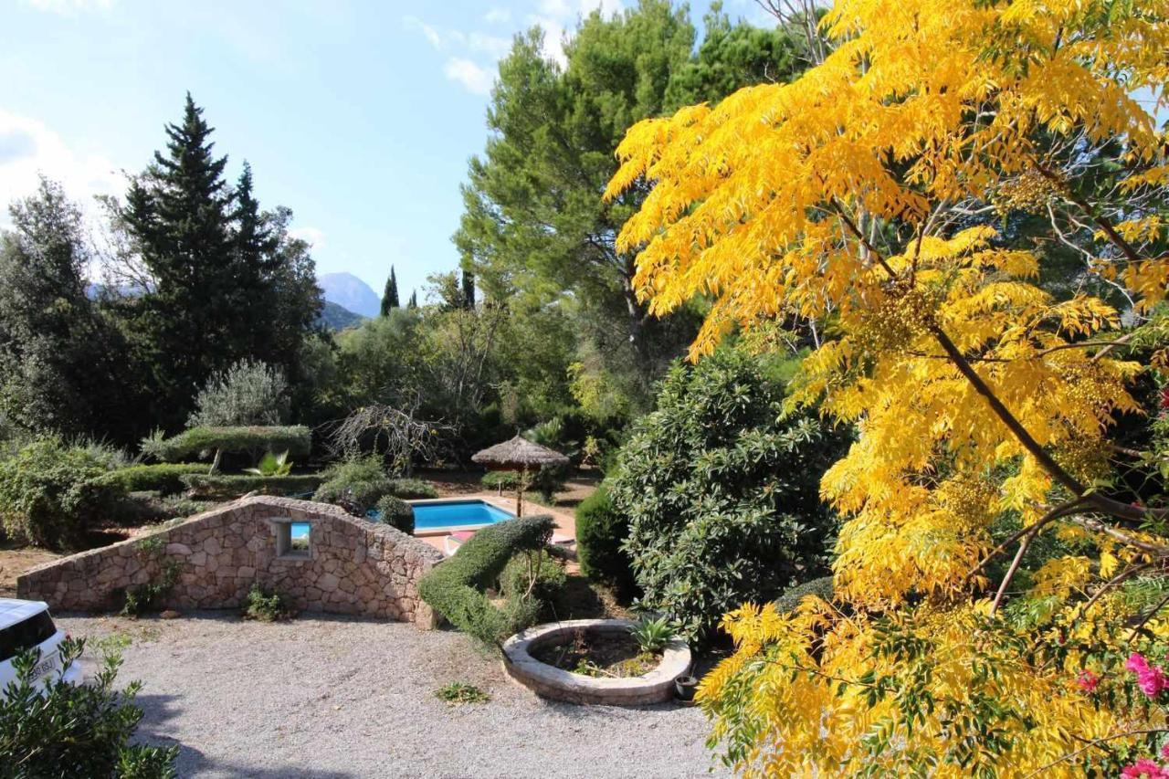 Gato Den Vives Casa 4 Con Piscina Port de Pollença